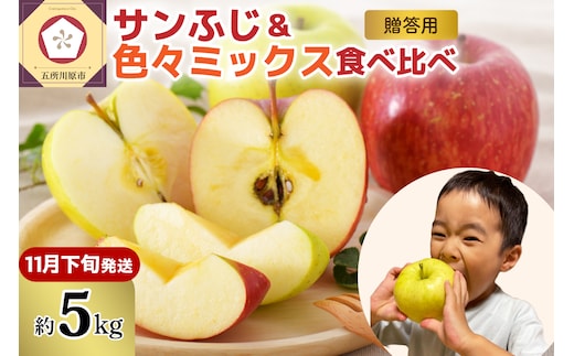 【2026年11下旬発送】 りんご 青森産 約5kg 津軽から完熟 サンふじ＆色々ミックス 贈答用
