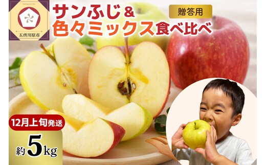 【2026年12月上旬発送】 りんご 青森産 約5kg 津軽から完熟 サンふじ＆色々ミックス 贈答用