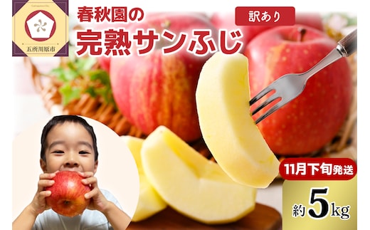 りんご 5kg 【2026年11月下旬発送】 訳あり 青森りんご 家庭用 完熟 サンふじ