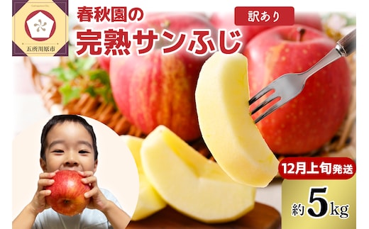 りんご 5kg 【2026年12月上旬発送 】訳あり 青森りんご 家庭用 完熟 サンふじ
