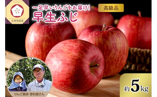 りんご 【2026年10月上旬発送】高級品 早生ふじ 5kg