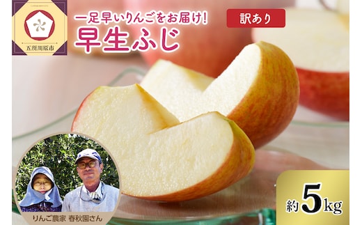 りんご 【2026年10月上旬発送】訳あり 早生ふじ 5kg