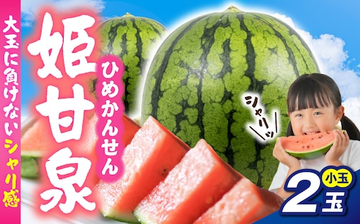 【先行受付】 小玉すいか 姫甘泉 ２玉 【7月下旬以降順次発送】 青森県 五所川原市 スイカ 西瓜 すいか