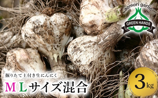 【2026年6月下旬発送開始】掘りたて 生にんにく 青森県産 ＭＬサイズ混合 3kg （土つき）