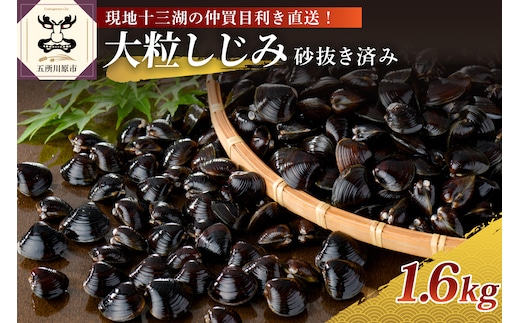 津軽十三湖産 大粒しじみ 1.6kg （冷凍・砂抜き済）