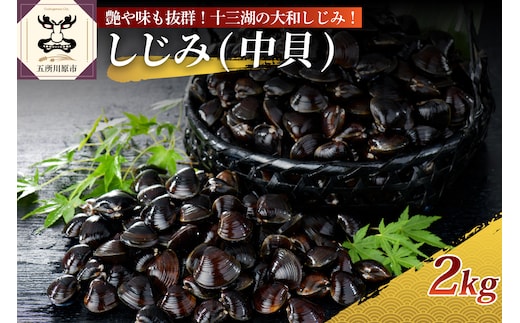十三湖産 大和しじみ （中貝） 2kg（冷凍・砂抜き済）