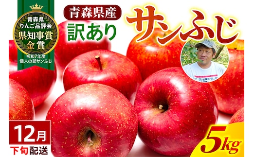 【2026年12月下旬発送】【訳あり】りんご 青森産 約5kg サンふじ