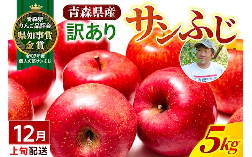 【2026年12月上旬発送】【訳あり】りんご 青森産 約5kg サンふじ