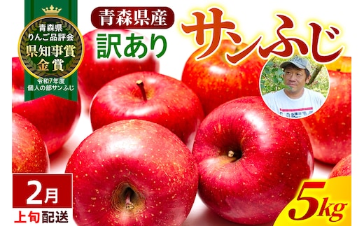 【2027年2月上旬発送】【訳あり】りんご 青森産 約5kg サンふじ