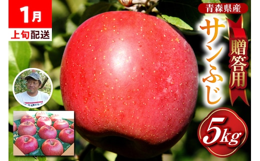 りんご 贈答用 【2026年1月上旬発送】 約 5kg サンふじ 五所川原 【 青森りんご サンふじりんご リンゴ 林檎 青森 贈答 