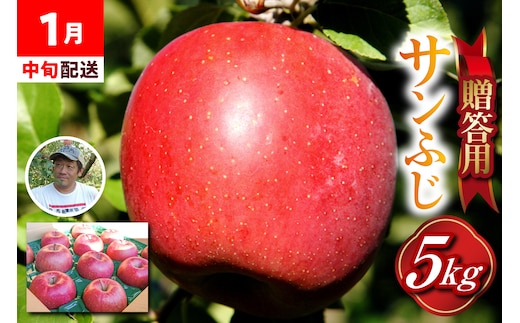 りんご 贈答用 【2026年1月中旬発送】約 5kg サンふじ 五所川原 【 青森りんご サンふじりんご リンゴ 林檎 青森 贈答 