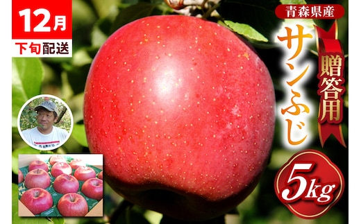 りんご 贈答用 【2025年12月下旬発送】 約 5kg サンふじ 五所川原 【 青森りんご サンふじりんご リンゴ 林檎 青森 贈答 