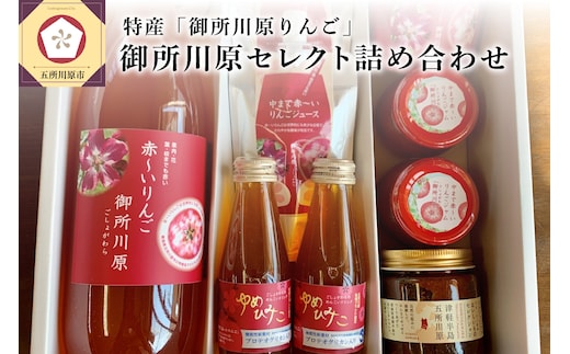 中まで赤～いりんご 「御所川原」 セレクト