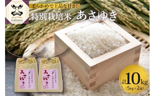 【令和8年産米】【先行受付】 米 あさゆき 10㎏ 特別栽培米 青森県産 【KonRiceFarmの お米 精米 白米 青森 五所川原 】