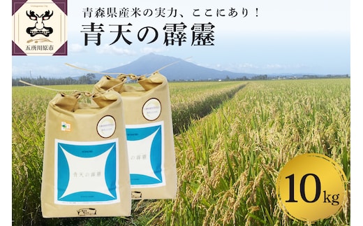 【令和8年産米】【先行受付】 米 青天の霹靂 10kg (5kg×2) 特別栽培米 青森県産 【KonRiceFarmの お米 精米 白米 晴天の霹靂 青森 五所川原 】