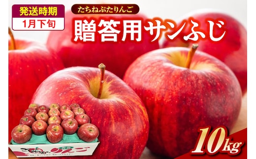 サンふじ 贈答規格 約10kg 【2026年1月下旬発送】「たちねぷたりんご」 青森県 五所川原市