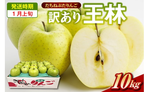 【2026年1月上旬】王林 約 10kg 訳ありりんご たちねぷたりんご 青森県 五所川原市 10キロ