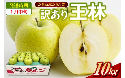 【2026年1月中旬】王林 約 10kg 訳ありりんご たちねぷたりんご 青森県 五所川原市 10キロ