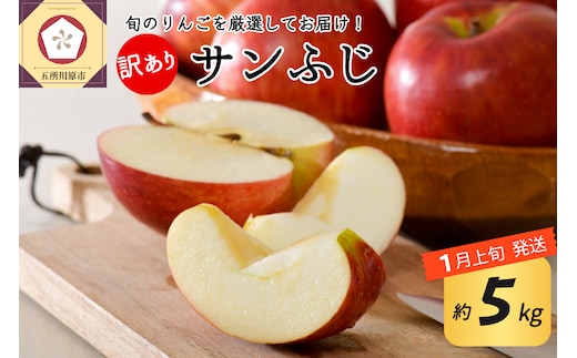 【2026年1月上旬発送】 【訳あり】 りんご 約5kg サンふじ 青森産