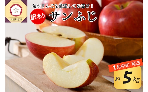 【2026年1月中旬発送】 【訳あり】 りんご 約5kg サンふじ 青森産