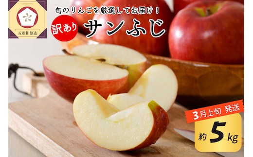 【2026年3月上旬発送】 【訳あり】 りんご 約5kg サンふじ 青森産