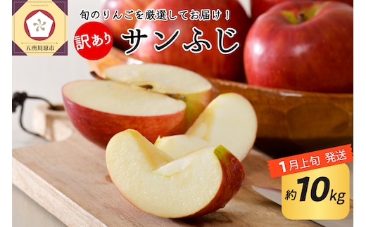 【2026年1月上旬発送】 【訳あり】 りんご 約10kg サンふじ 青森産