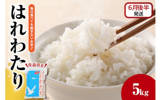 【2026年6月後半発送】米 はれわたり5kg（精米）青森米【白米 お米 青森 五所川原 JA 】