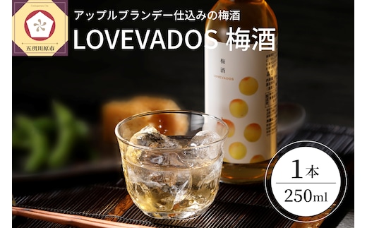 梅酒 アップルブランデー 仕込み 250ml 19% LOVEVADOS梅酒 【青森りんご100％使用のアップルブランデー ウメシュ ブランデー梅酒 林檎 梅 酒 完熟梅 うめしゅ 】