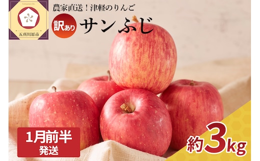 【2026年1月前半発送】 訳あり りんご サンふじ 約 3kg 青森 果物 【 訳アリ リンゴ 林檎 ふじ さんふじ 】