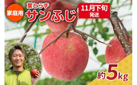 【2026年11月下旬発送】りんご 5kg 程度 葉とらず サンふじ 11月 12月 家庭用 青森産 りんご ふじ 【 サンふじりんご 葉とらずりんご くだものフルーツ果物林檎約5kg 】