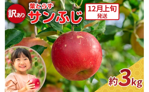 【2026年12月上旬発送】りんご 3kg 程度 葉とらず サンふじ 11月 12月 訳あり 青森産 りんご ふじ 【 サンふじりんご 葉とらずりんご リンゴジュースやお菓子作りにも くだものフルーツ果物林檎約3kg 】