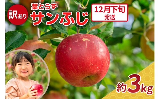 【2026年12月下旬発送】りんご 3kg 程度 葉とらず サンふじ 11月 12月 訳あり 青森産 りんご ふじ 【 サンふじりんご 葉とらずりんご リンゴジュースやお菓子作りにも くだものフルーツ果物林檎約3kg 】