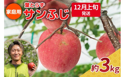 【2026年12月上旬発送】りんご 3kg 程度 葉とらず サンふじ 11月 12月 家庭用 青森産 りんご ふじ 【 サンふじりんご 葉とらずりんご くだものフルーツ果物林檎約3kg 】