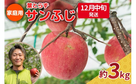 【2026年12月中旬発送】りんご 3kg 程度 葉とらず サンふじ 11月 12月 家庭用 青森産 りんご ふじ 【 サンふじりんご 葉とらずりんご くだものフルーツ果物林檎約3kg 】
