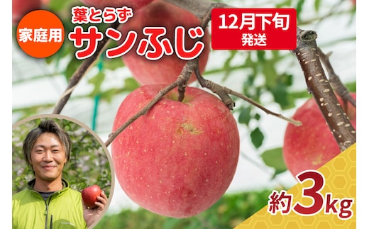 【2026年12月下旬発送】りんご 3kg 程度 葉とらず サンふじ 11月 12月 家庭用 青森産 りんご ふじ 【 サンふじりんご 葉とらずりんご くだものフルーツ果物林檎約3kg 】