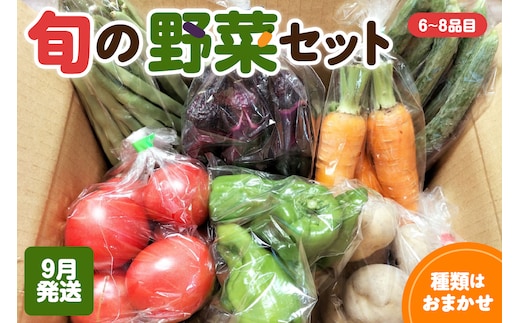 野菜セット 「産直メロス」【2026月9月発送】 旬の野菜詰め合わせ 野菜 詰合せ セット詰め合わせ 国産 旬 おまかせ お楽しみ 直送 詰合 青森 五所川原 6～8品