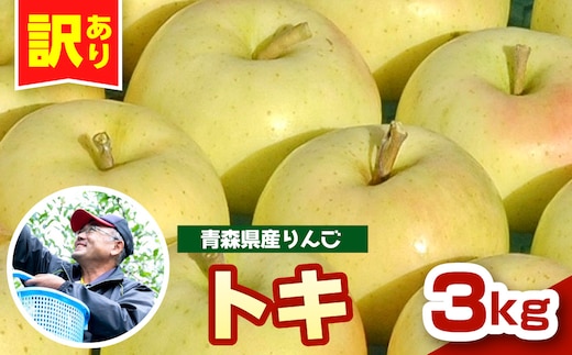 りんご 青森 トキ 訳あり 3kg 程度 【 10月 中旬以降順次 発送 】 とき 農家直送 青森県 五所川原市 傷 キズ ワケアリ 林檎 リンゴ apple 黄色