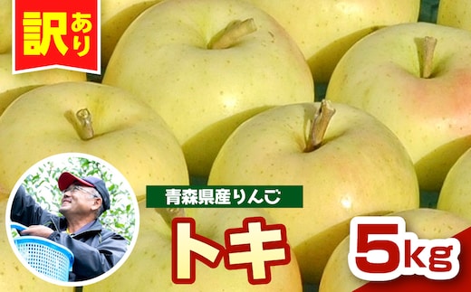 りんご 青森 トキ 訳あり 5kg 程度 【 10月 中旬以降順次 発送 】 とき 農家直送 青森県 五所川原市 傷 キズ ワケアリ 林檎 リンゴ apple 黄色