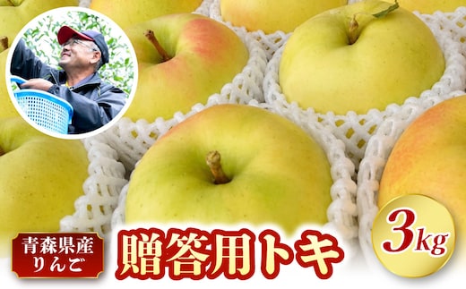 りんご 青森 トキ 5kg 程度 《 贈答 》 農家直送 【10月中旬以降順次発送】 とき 青森県 五所川原市 贈答 プレゼント 林檎 リンゴ apple 黄色