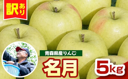りんご 青森 ぐんま名月 訳あり 5kg 程度 【 11 月中旬以降順次 発送 】 群馬めいげつ 名月 農家直送 青森県 五所川原市 傷 キズ ワケアリ 林檎 リンゴ apple