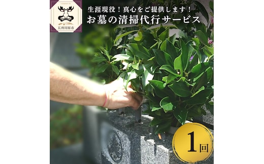 お墓の清掃代行サービス（1回分）