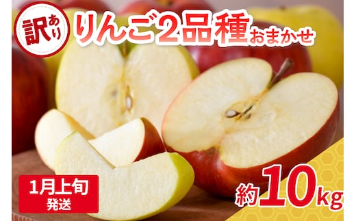 【2026年1月上旬発送】 【訳あり】 旬の美味しい りんご 約10kg 青森産 【おまかせ2品種】