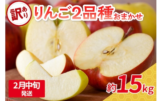【2026年2月中旬発送】 【訳あり】旬の美味しいりんご 約15kg 青森産 【おまかせ2品種】