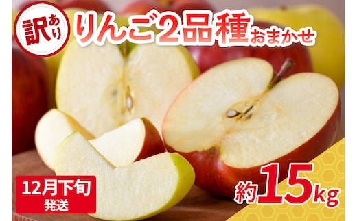 【2025年12月下旬発送】 【訳あり】旬の美味しいりんご 約15kg 青森産 【おまかせ2品種】