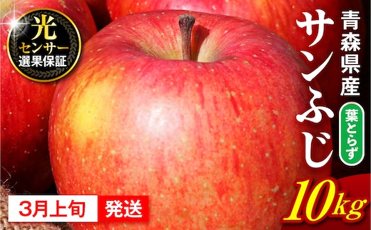 【2027年3月上旬発送】 りんご 10kg 葉とらず サンふじ 青森