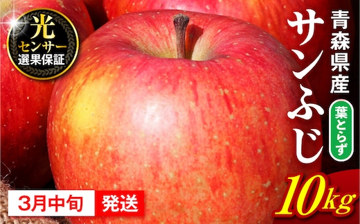 【2027年3月中旬発送】 りんご 10kg 葉とらず サンふじ 青森