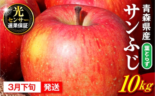 【2027年3月下旬発送】 りんご 10kg 葉とらず サンふじ 青森