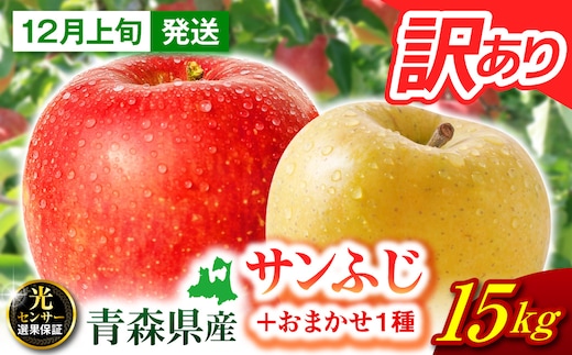 【2026年12月上旬発送】 りんご 10kg 葉とらず サンふじ 青森