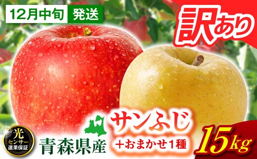 【2026年12月中旬発送】 りんご 10kg 葉とらず サンふじ 青森