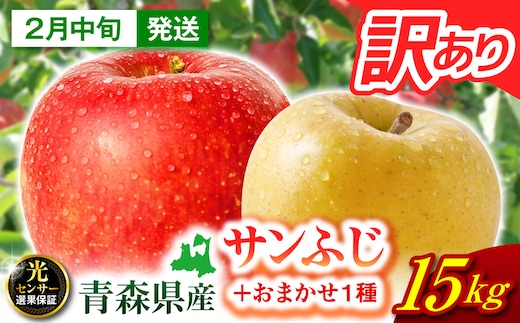【2027年2月中旬発送】 りんご 10kg 葉とらず サンふじ 青森